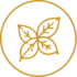 Our Story Icon